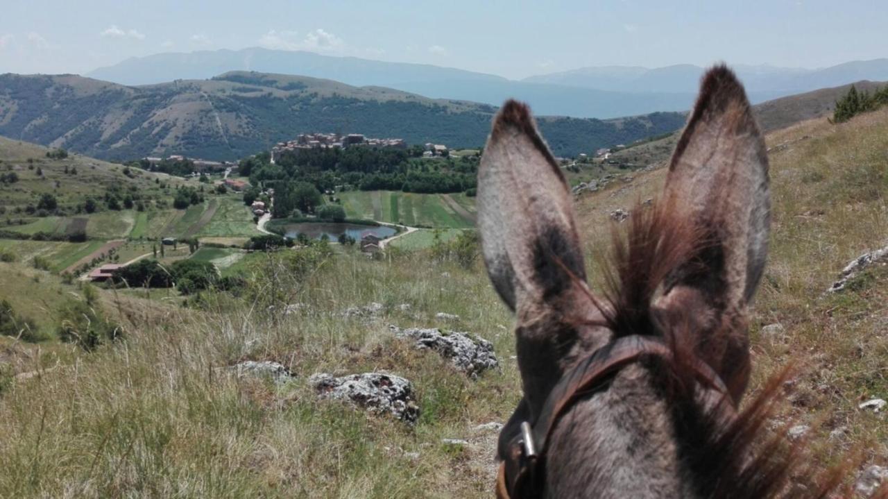 Casa Ladyhawke Διαμέρισμα Santo Stefano Di Sessanio Εξωτερικό φωτογραφία